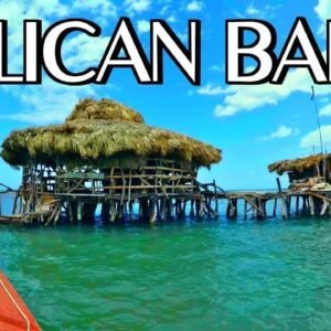Floyd's Pelican Bar Treasure Beach St. Elizabeth