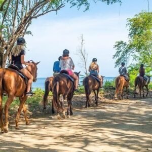 Horseback Ridding and Ocho Rios Bamboo River Rafting